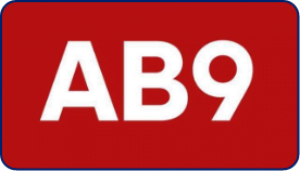 71329848_201240867585533_722351306610779385_n